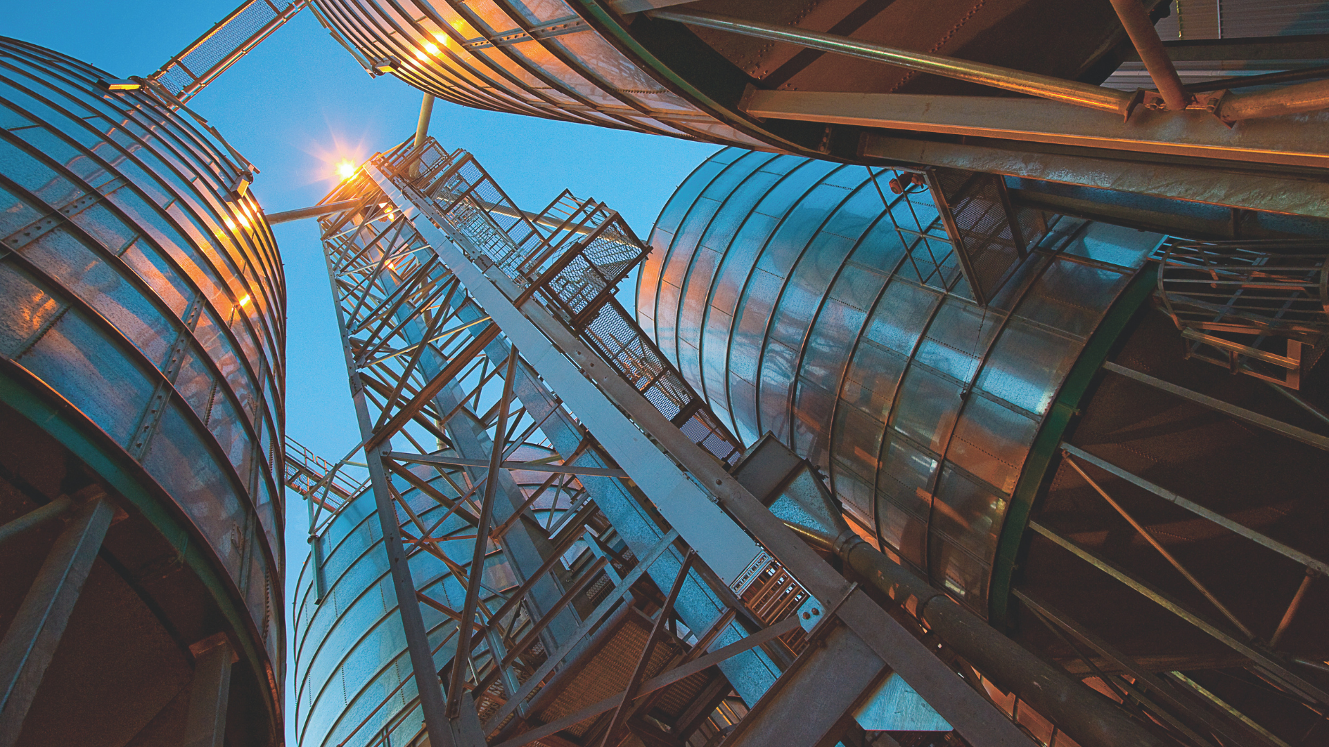 YAĞLI TOHUM İŞLEME EKİPMANLARI - Profesyonel İşleme Çözümleri - TARMEK MAKİNA